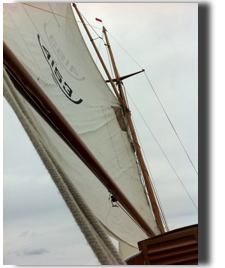 Blick nach oben Blick nach oben